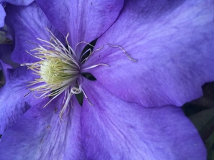 New Contract Bespoke Carpet......YOÔR DESIGN